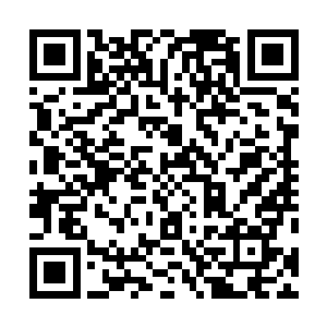 任谁都能看出这狼狈成这样的家伙刚才是豁出去拼了一命二维码生成