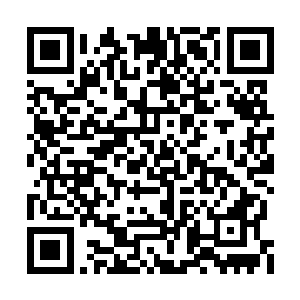 仿佛一下子从冰冷的隆冬进入了生机盎然的春季二维码生成