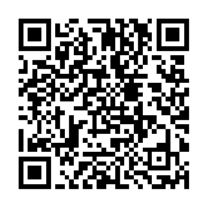 仿佛一下子看到了当初我刚刚和唐晓柔在一起的日子二维码生成