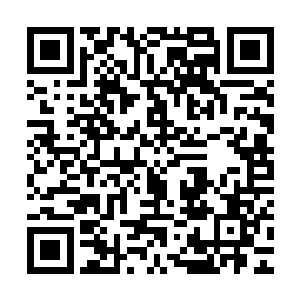 仿佛一只可爱呆萌的小浣熊一下变身狂怒嗜血的大暴熊……真的二维码生成