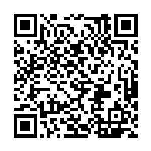 仿佛一只锈迹斑斑的爪子轻轻刮擦着佩佩的头盖骨二维码生成