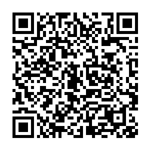 仿佛一张大网一样的养分和水分的循环吸收路径再次出现在张铁的眼中二维码生成