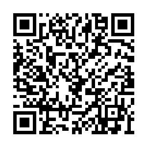 仿佛一道围墙把那座有点模糊的坟墓圈在了里面二维码生成