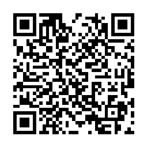 仿佛下一刻就能看到这曹少钦被铁拳轰得倒撞上墙二维码生成