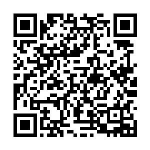 仿佛下一刻陆非凡就会一耳光打在自己的脸上似的二维码生成