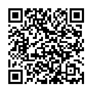 仿佛不在奥兰多这铁公鸡身上拔根毛下来誓不罢休一般二维码生成