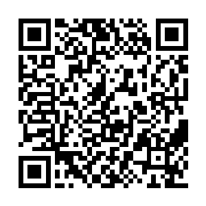 仿佛与一层神秘的面纱将龙小友笼罩起来了一般二维码生成