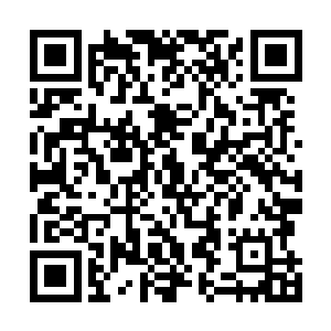 仿佛他们在这血城之中并没有遭到任何的虐待或者是压迫二维码生成