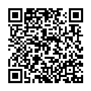 仿佛全然忘记了他刚刚还被折磨得求生不得求死不能二维码生成