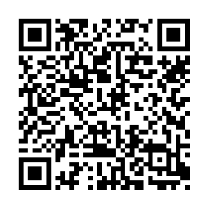 仿佛再说一句话就会被关进监狱在也出不来一样二维码生成
