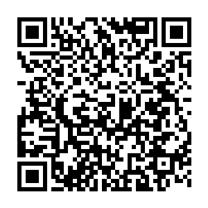 仿佛刚刚被大火烟熏火燎过一般的树皮竟然也如同蛇类生物蜕皮一样二维码生成