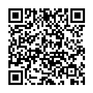仿佛卡塔尔不靠贿赂裁判根本不可能击败中国队一样二维码生成