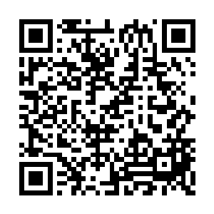 仿佛只是替明媚的春光增添了一道不起眼的明亮二维码生成