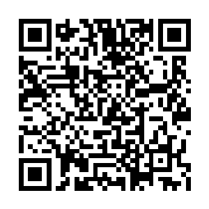 仿佛只有胸口微微的起伏才能证明她此刻的存在二维码生成