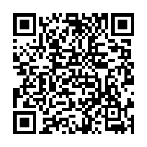 仿佛嘴里咬的是下河村那个浑水摸鱼偷旗子的小胖纸二维码生成