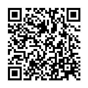 仿佛噬金蚁进入到青石内部就被青石埋葬了一般二维码生成