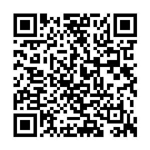 仿佛在他的眼里我根本就不配称为他的对手一般二维码生成