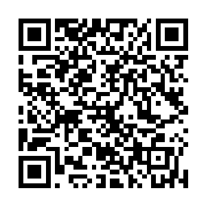 仿佛在无声地质问你什么时候建立了这么大一个女儿国二维码生成