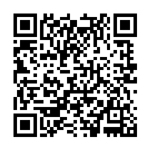 仿佛在这陆岛的某一处有什么东西正在联系着自己二维码生成