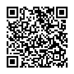 仿佛天使的翅膀将他与生俱来的冰冷挥散殆尽了二维码生成