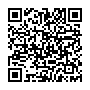 仿佛她已经看见了那个目前肉眼还看不出来的小生命二维码生成