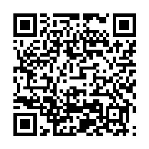 仿佛对女娲族少女此刻的生理和心理状况都了若指掌二维码生成