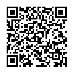 仿佛就将白起那白色的身影淹没在了潮水之中……二维码生成