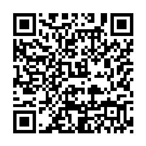 仿佛就站在那满是岁月痕迹的古埃及展馆的门口二维码生成