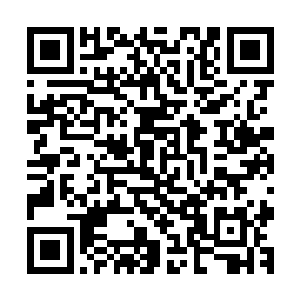 仿佛已经看到徐成被他的杀气之火炼化灵魂在不断嚎叫的场面二维码生成