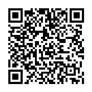 仿佛已经见到日后的美好的日子在向他招手一般二维码生成