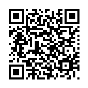 仿佛当中孕育的生命要破壳而出一般二维码生成