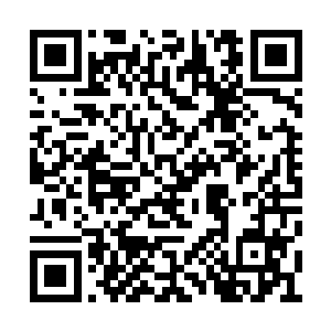 仿佛想要在自己的乐团成员们那儿找到一点安慰二维码生成