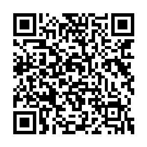 仿佛方才那记射门也彻底摧毁了他们的神经系统二维码生成