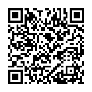 仿佛无数巨人从城市的每一个角落直挺挺站起来二维码生成