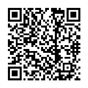 仿佛无数的针正密密麻麻的自全身上下毛孔里扎入一般二维码生成