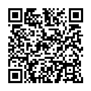 仿佛无穷无尽的狂霸力量自韩风这一拳爆发而出二维码生成