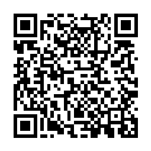 仿佛无论了做了什么错事都可以又一次原谅的机会二维码生成