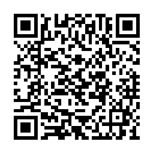 仿佛是化作了一道道可怕的杀伐之剑在轰杀出去二维码生成