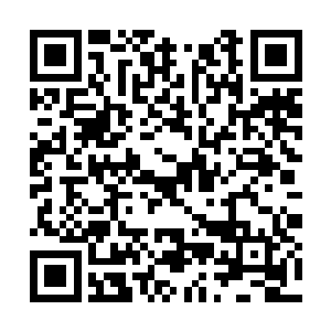 仿佛是已经看到了鹤千尺的脑袋被自己抓裂的场面二维码生成