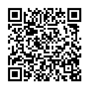 仿佛是根本就没有看到面前这两个人的攻击一样二维码生成
