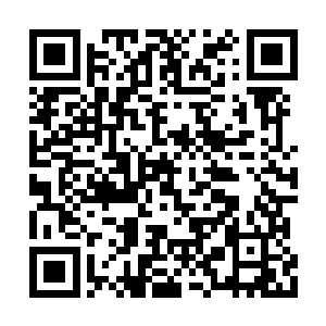 仿佛是被伊布拉希莫维奇铲伤的那一下的后遗症二维码生成