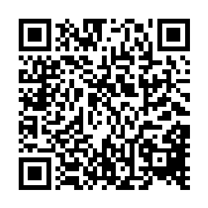 仿佛有一丝丝的木纹忽然隐隐的散发出了一圈圈淡淡的光芒二维码生成
