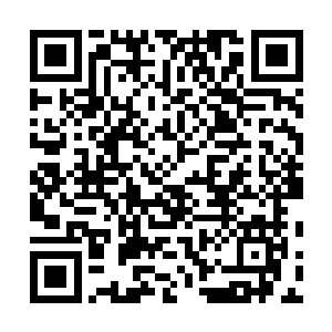 仿佛有一个什么恐怖存在要从锁链大网之上突破进来一般二维码生成