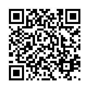 仿佛有一个巨大的气泡包裹着珍珠岛二维码生成