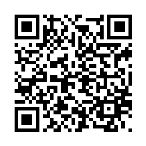 仿佛有两股互相冲突的力量正在抗衡二维码生成