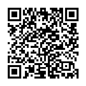 仿佛有亿万昆虫在血色漩涡的另外一面不断嘶鸣拥挤一样二维码生成