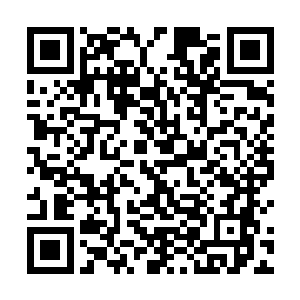 仿佛有什么可怕的东西正在从内而外腐蚀它的身体一样二维码生成