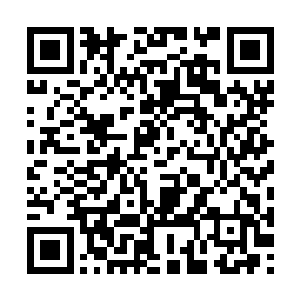 仿佛根本就感觉不到这股从身体上传来的疼痛似地二维码生成