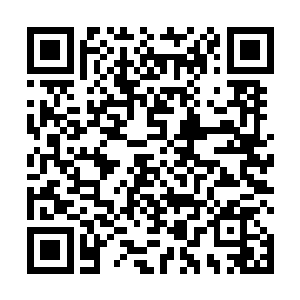 仿佛榨汁机一样的将尸体里面的精血都全部压榨了出来二维码生成