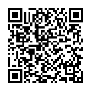 仿佛没有见到孙子指着曾孙鼻子破口大骂对方不孝的模样二维码生成